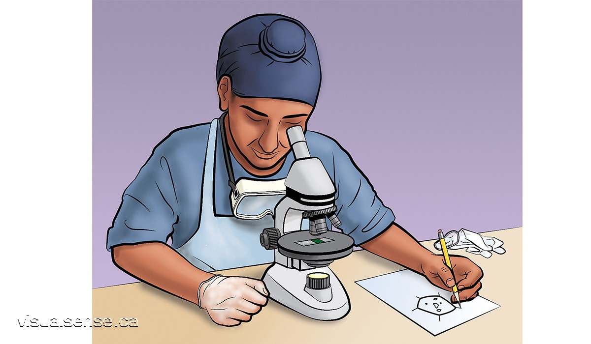 A boy and his microscope